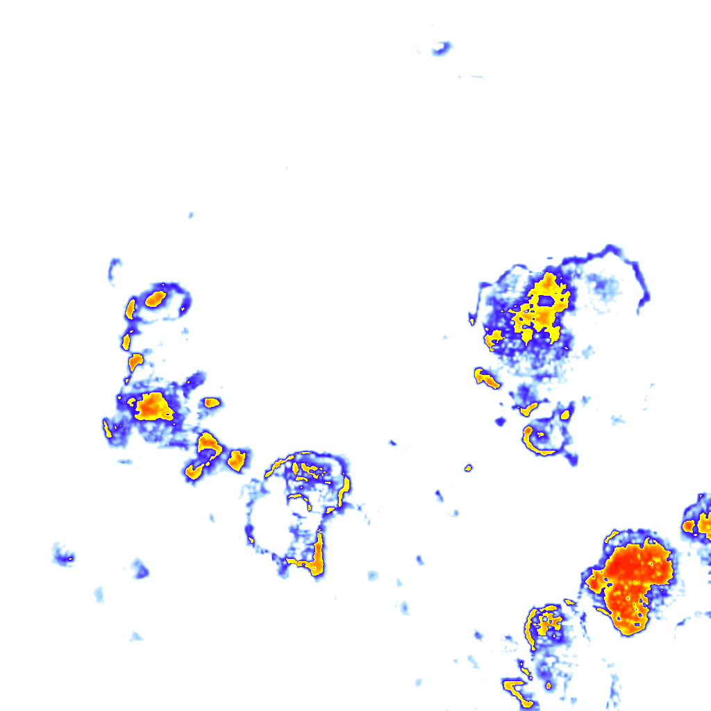 rainLayer