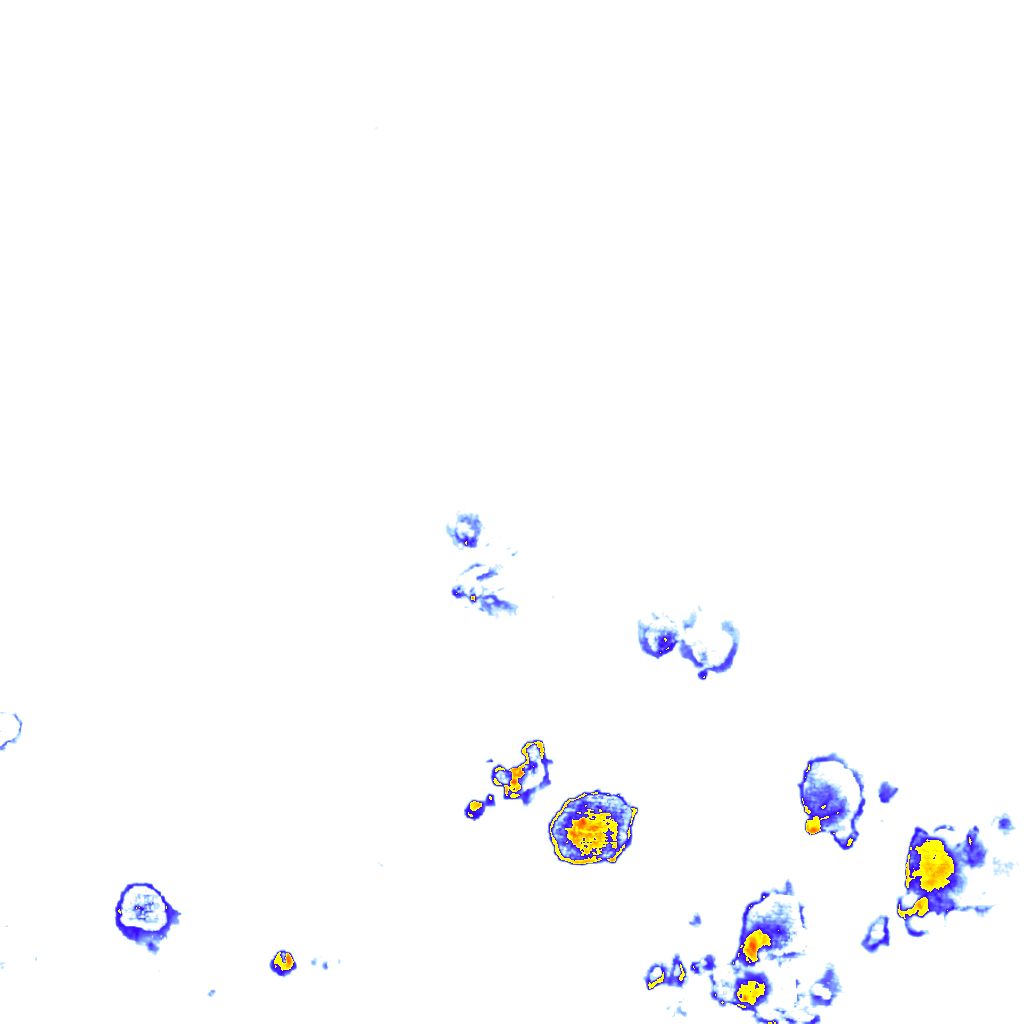 rainLayer
