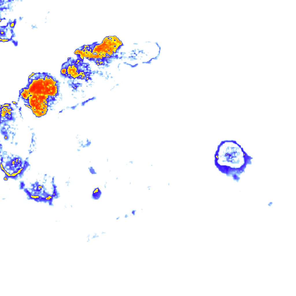 Image Layer
