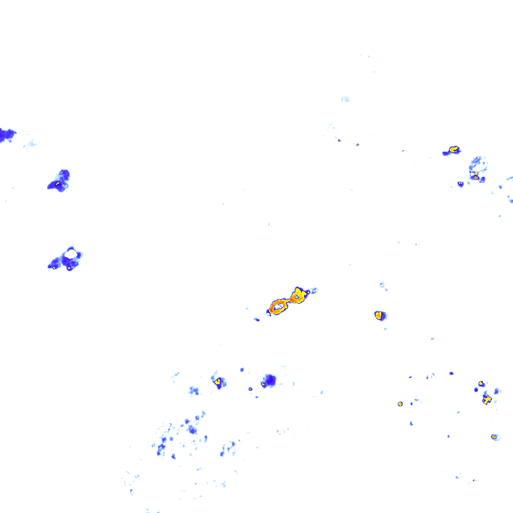rainLayer