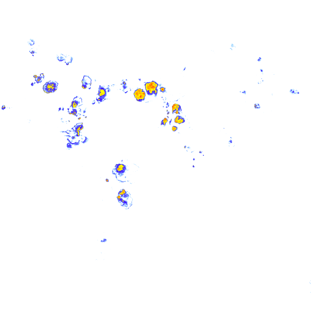 Image Layer