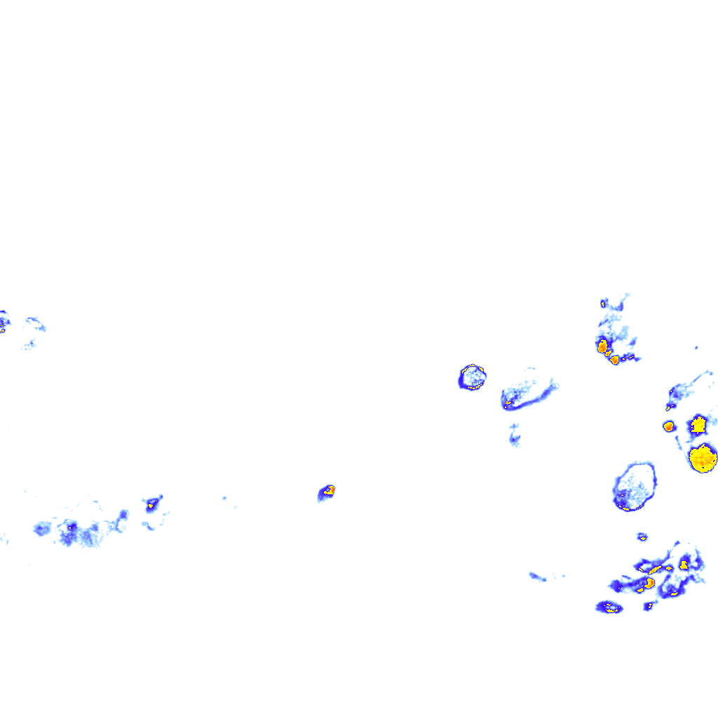 rainLayer