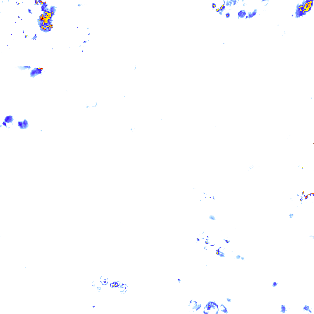rainLayer