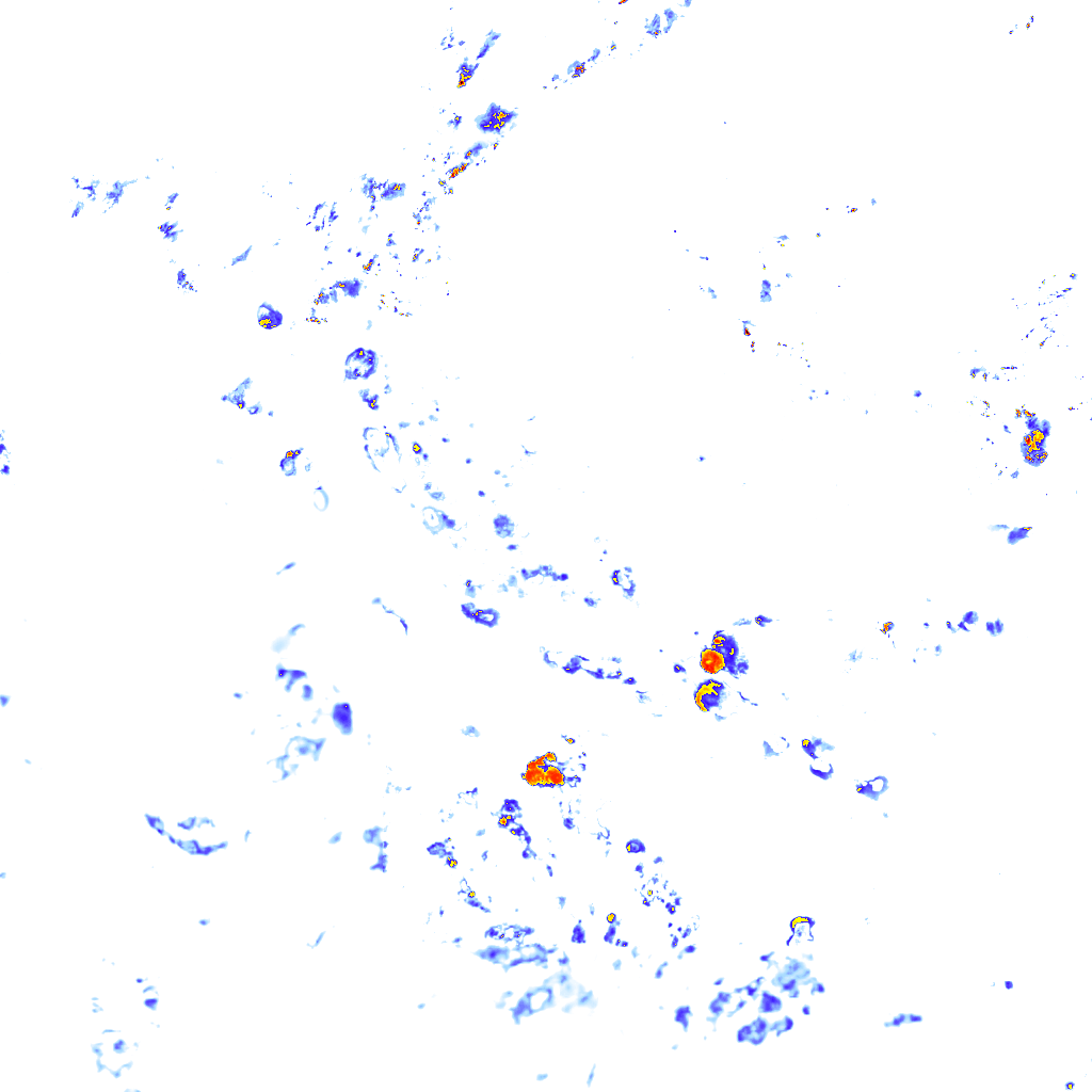 rainLayer