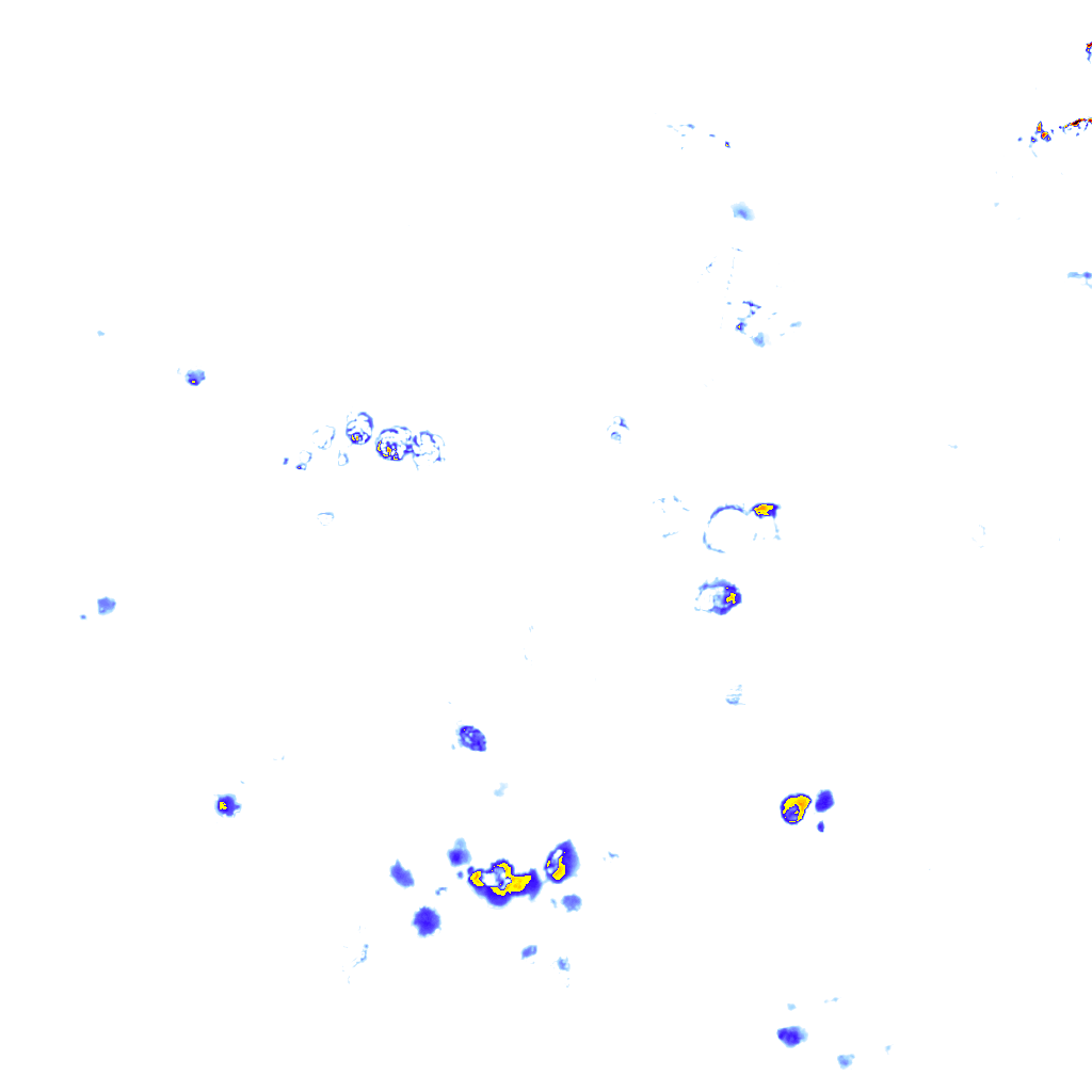 rainLayer