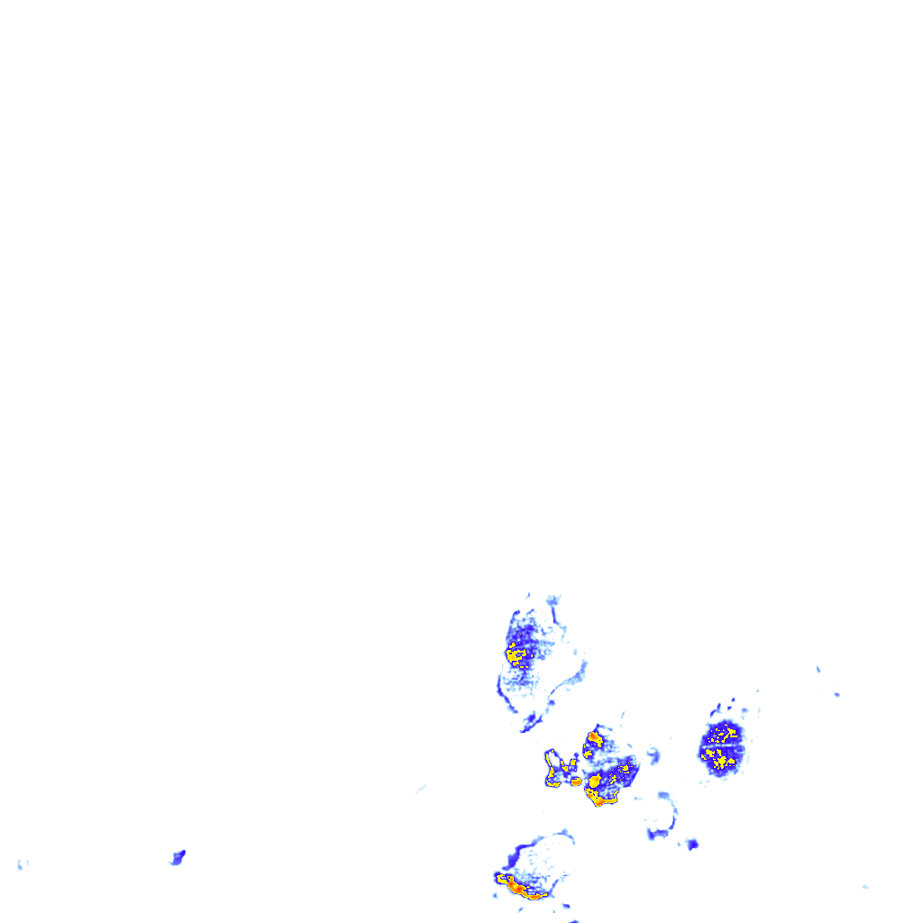 rainLayer