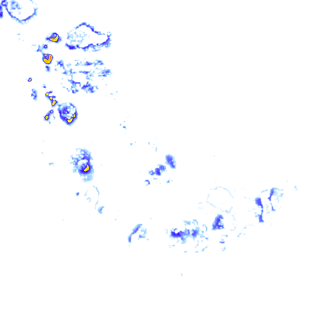 rainLayer