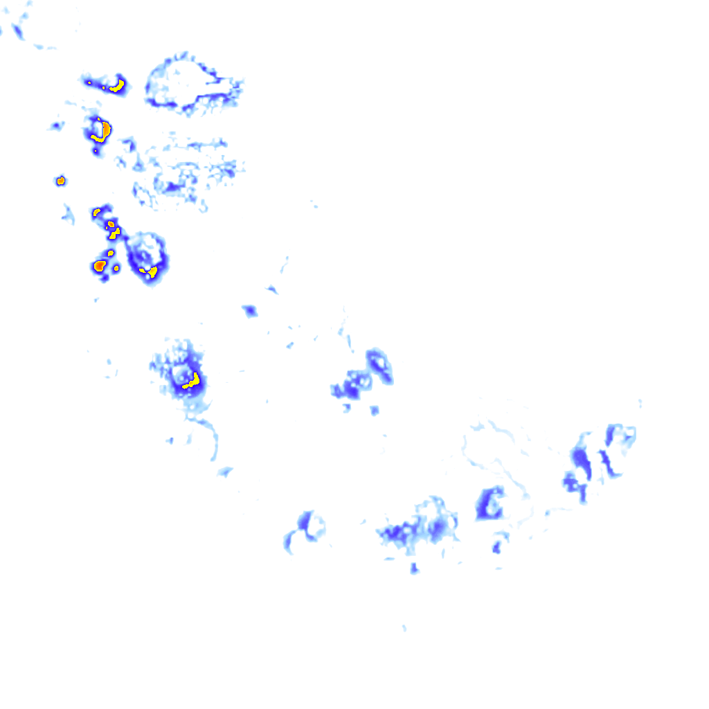 rainLayer