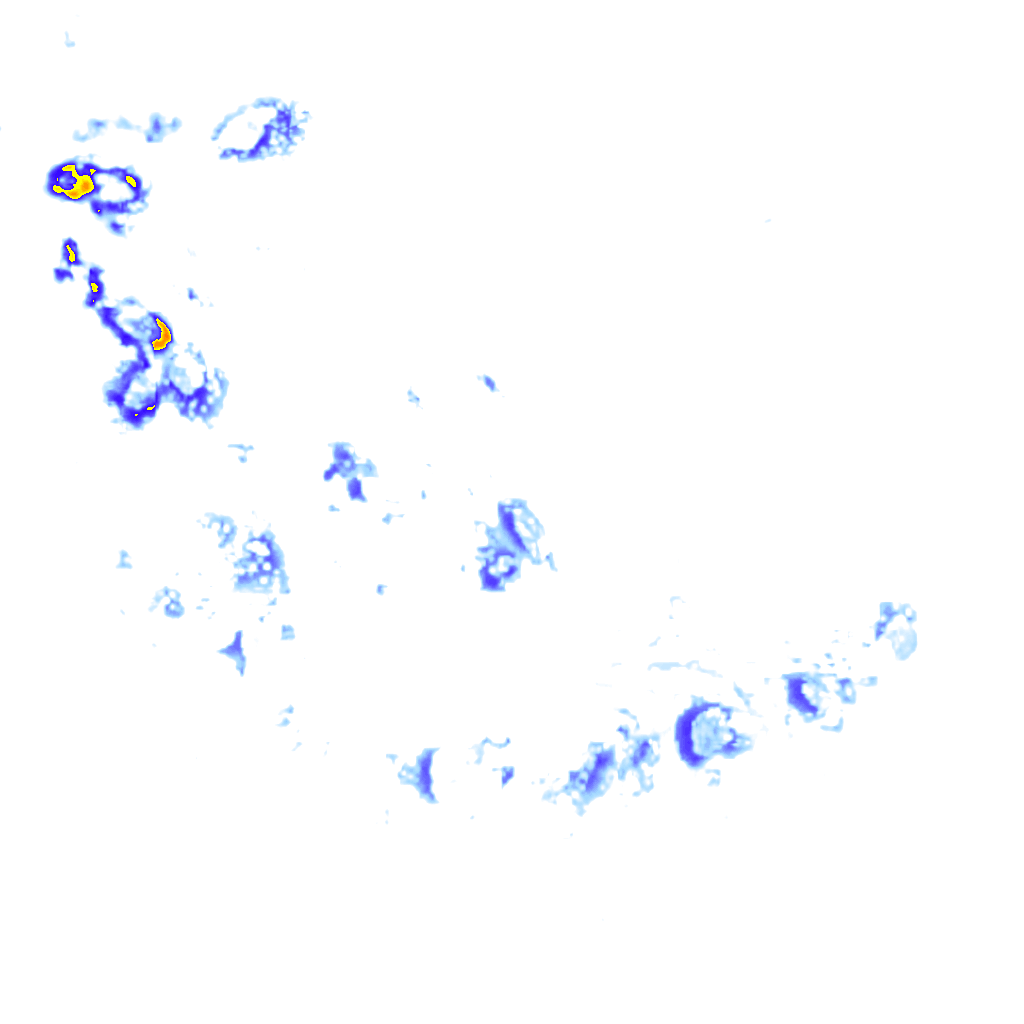 Image Layer