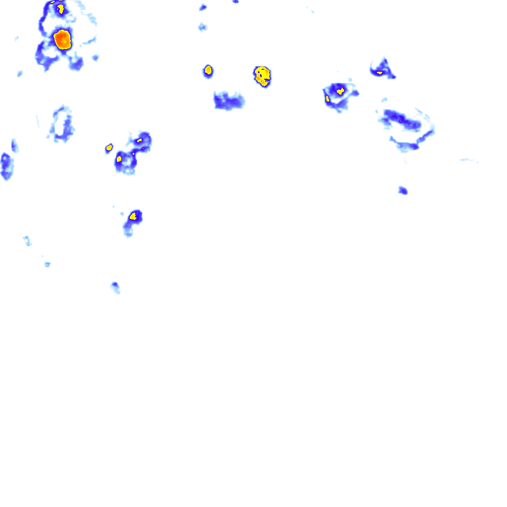 Image Layer