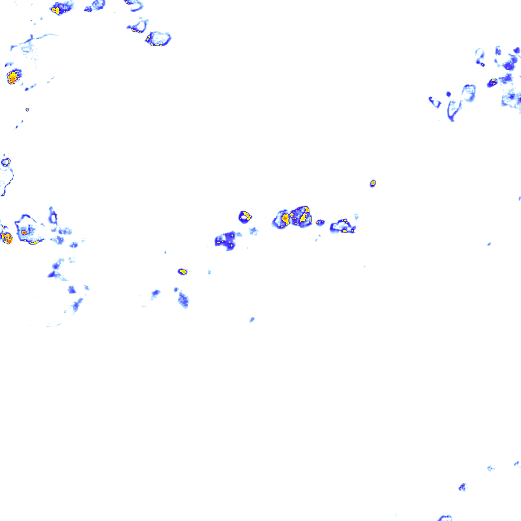 rainLayer