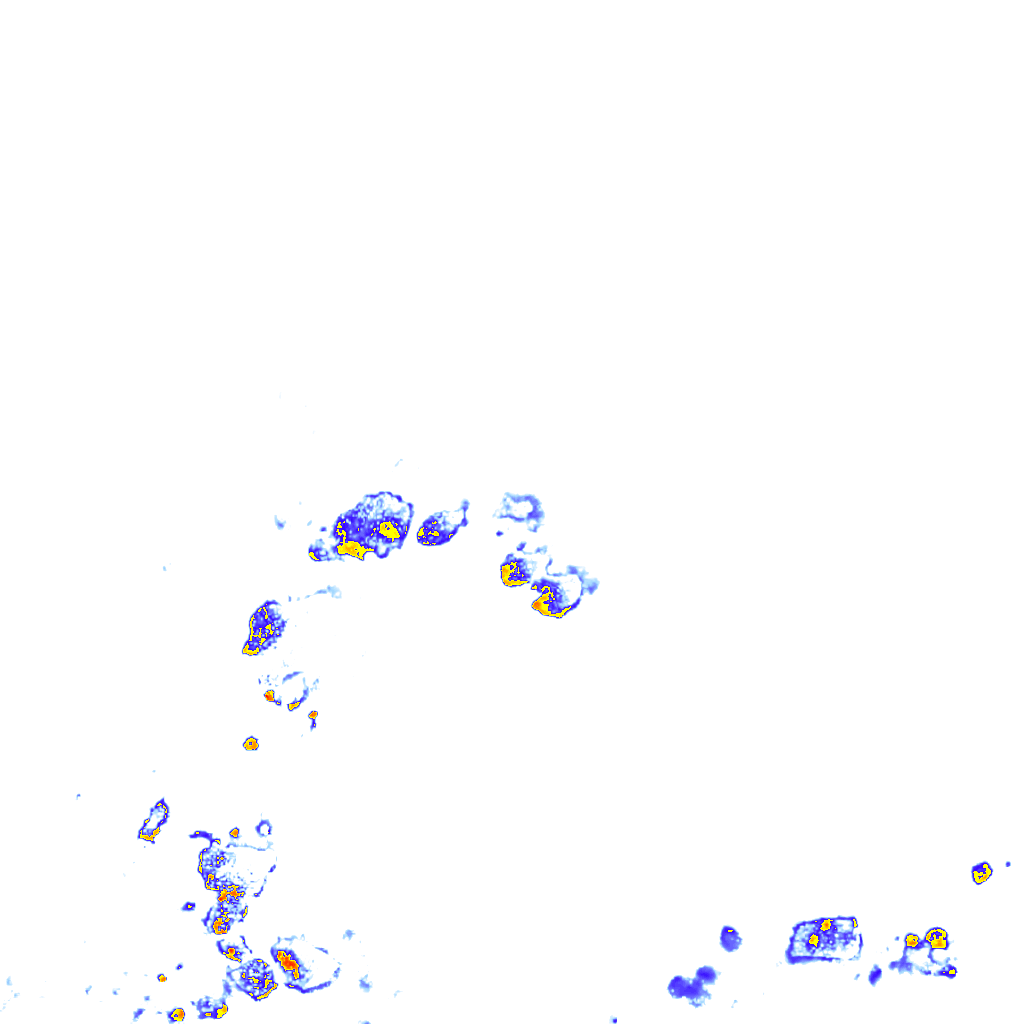 rainLayer
