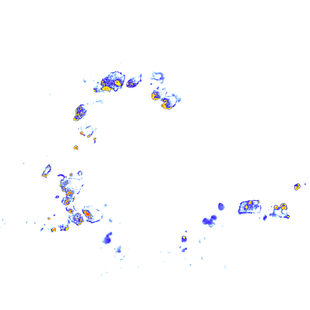 rainLayer
