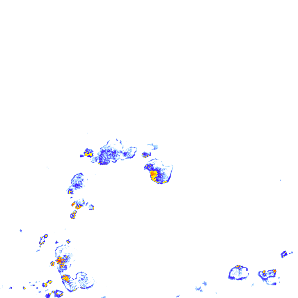 rainLayer