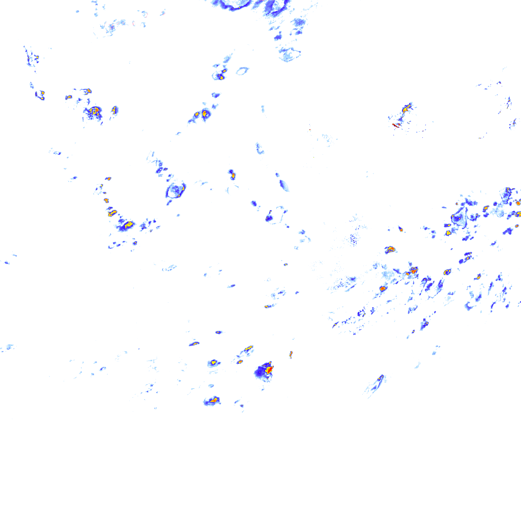 rainLayer