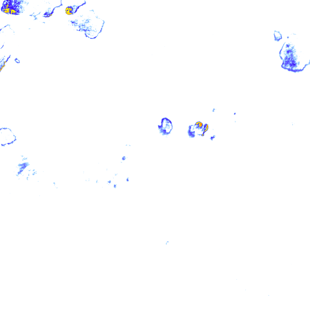 rainLayer