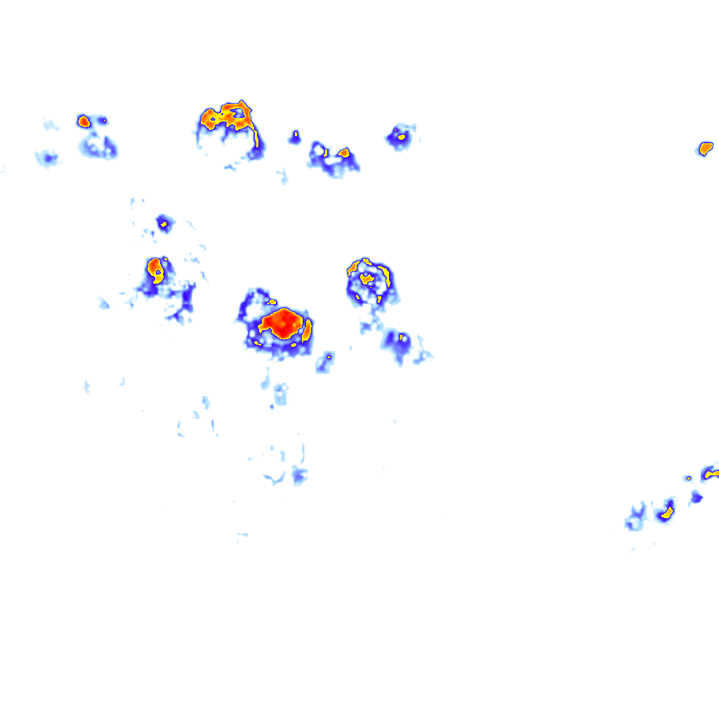 Image Layer