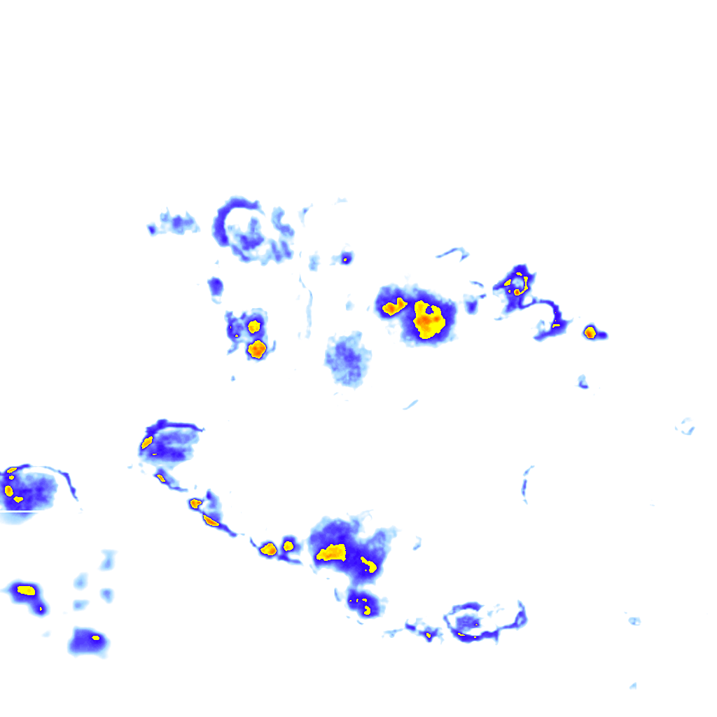 Image Layer