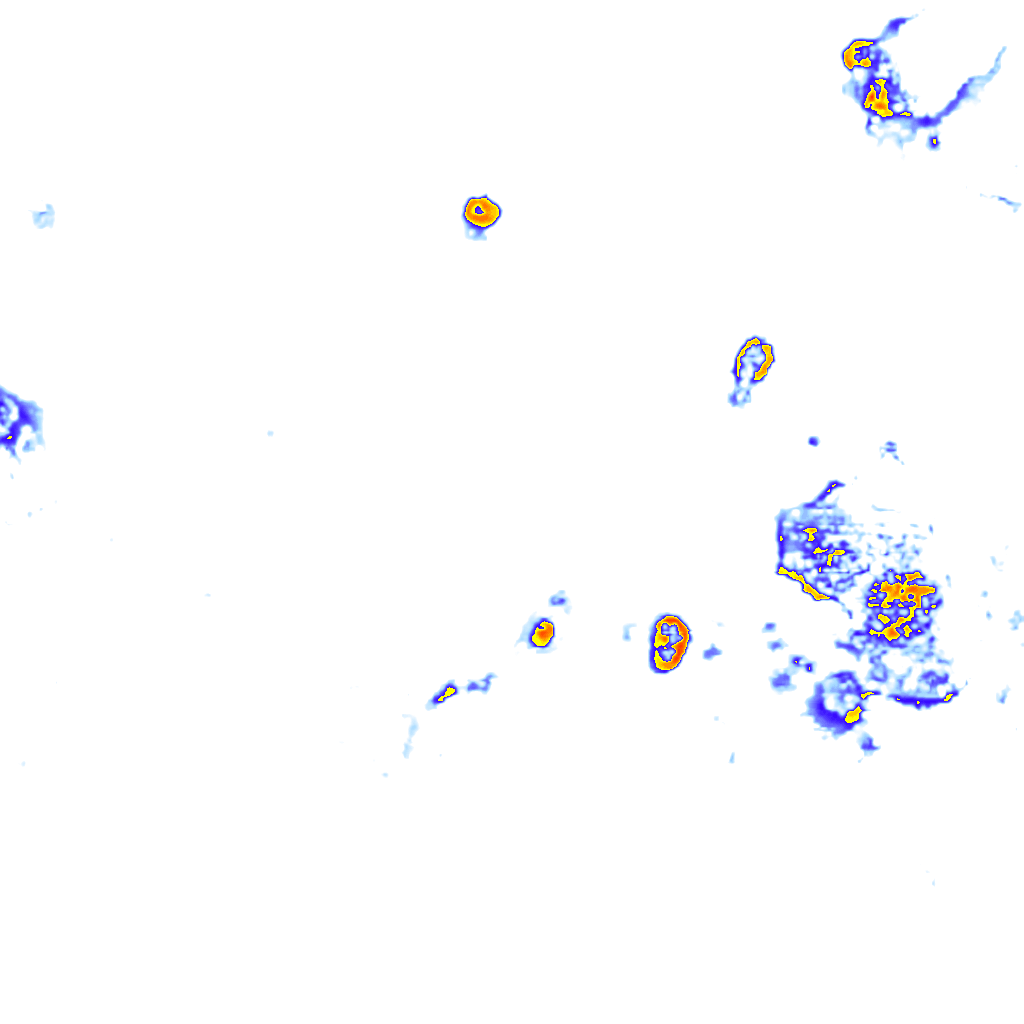 rainLayer