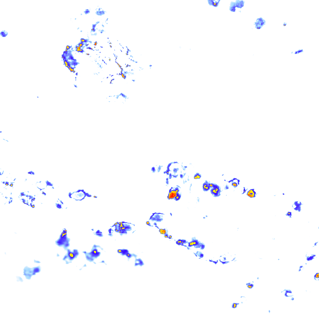 Image Layer