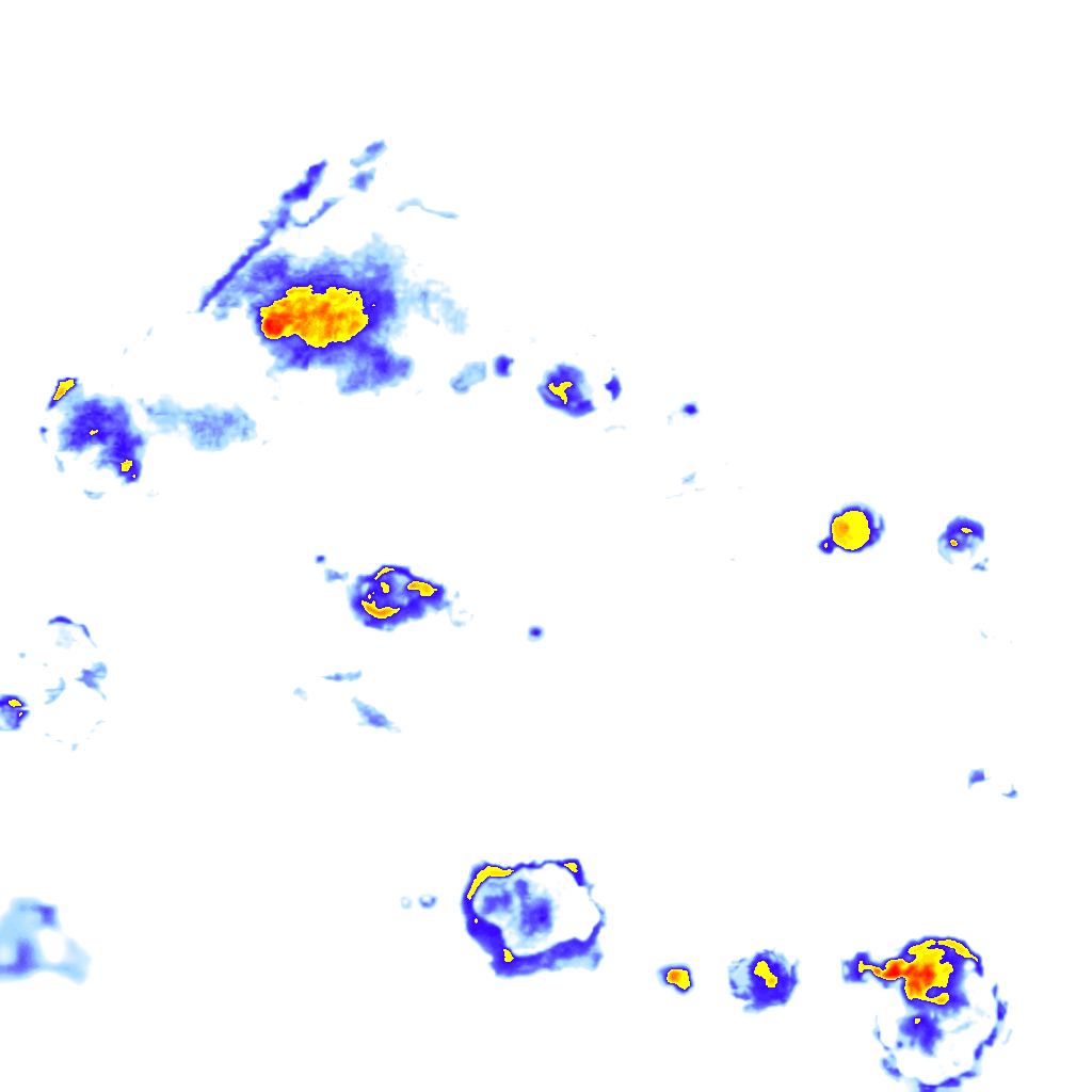 Image Layer