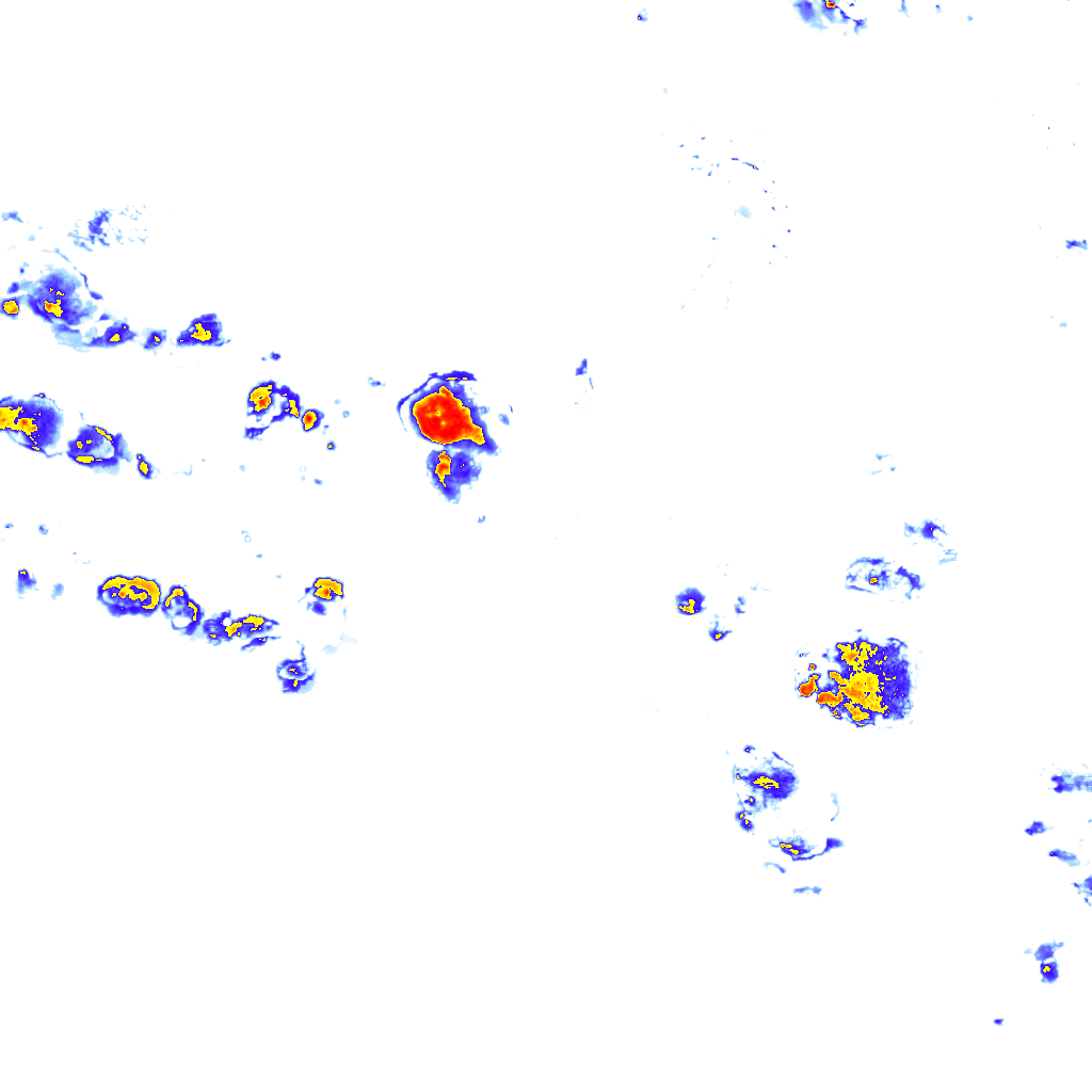 rainLayer