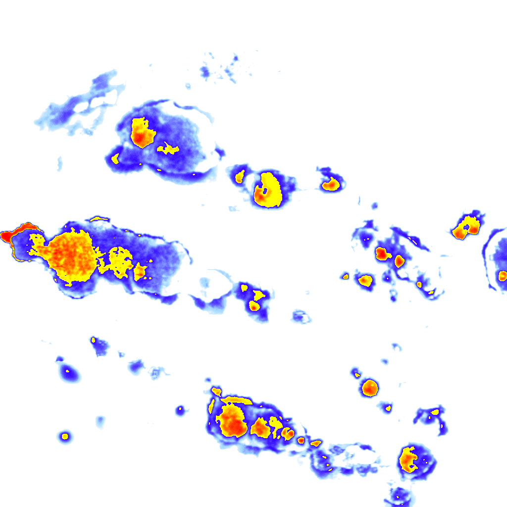 Image Layer