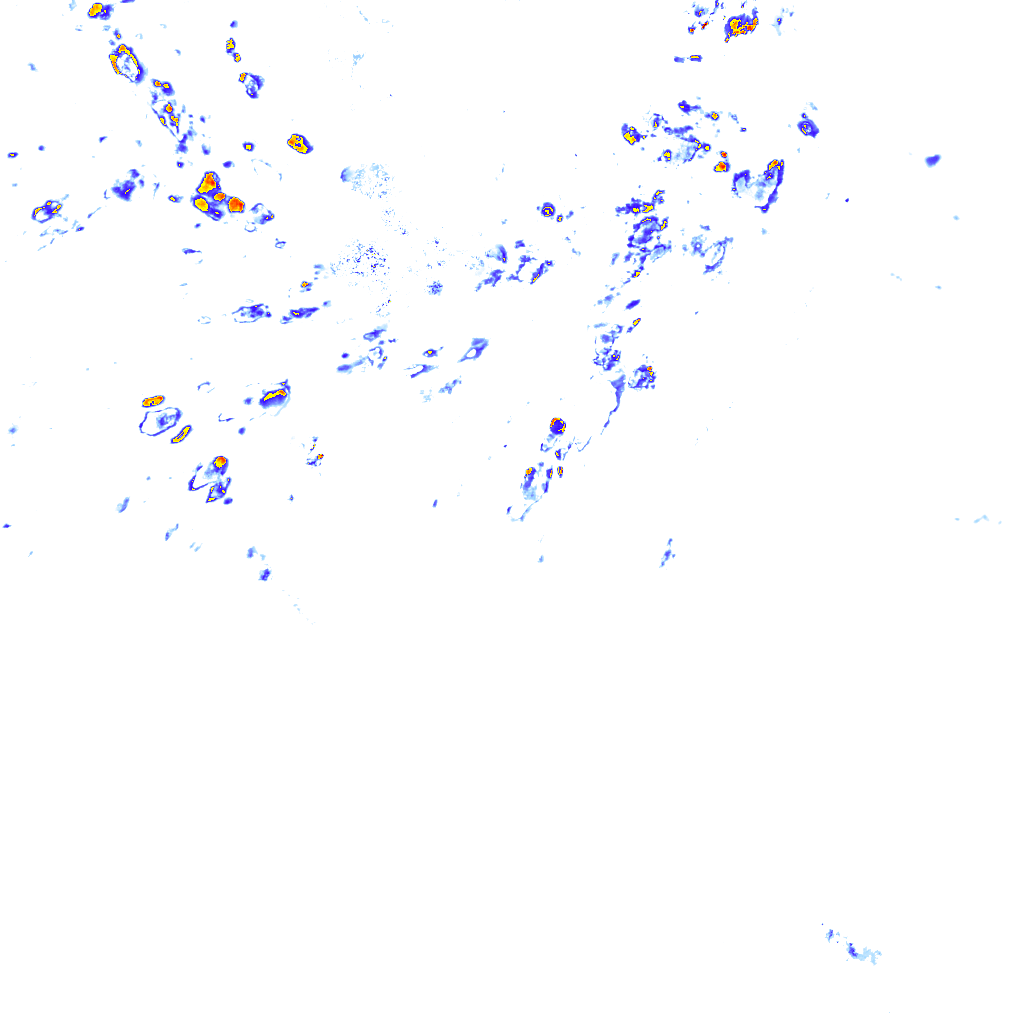 rainLayer