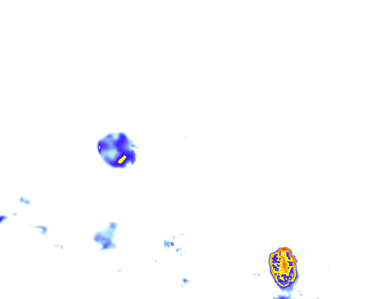 rainLayer