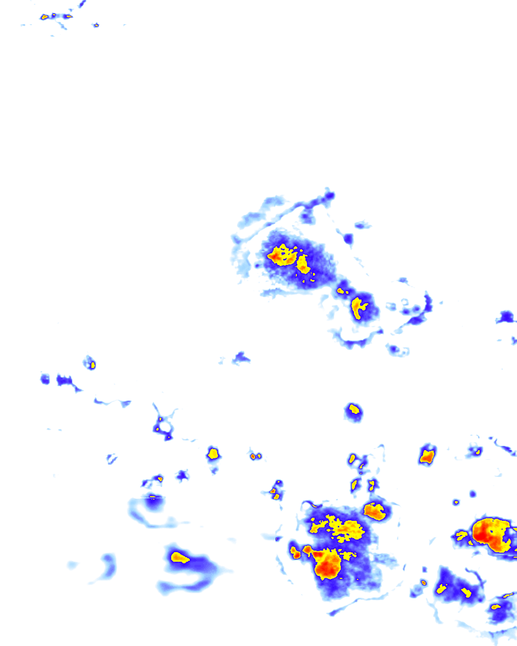 rainLayer