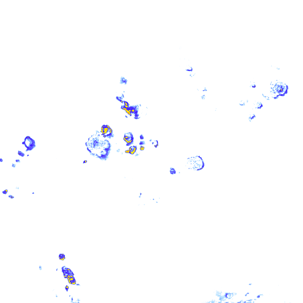 Image Layer