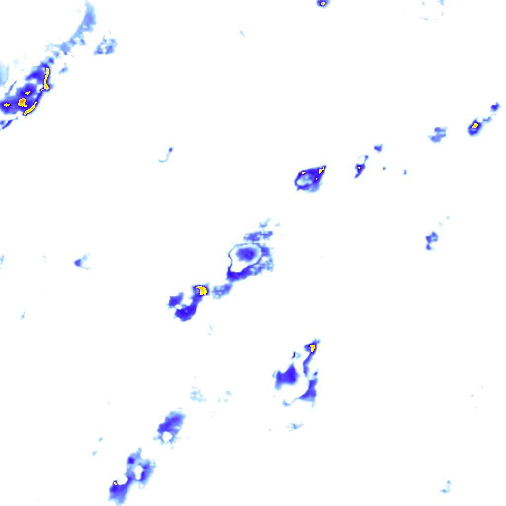 Image Layer