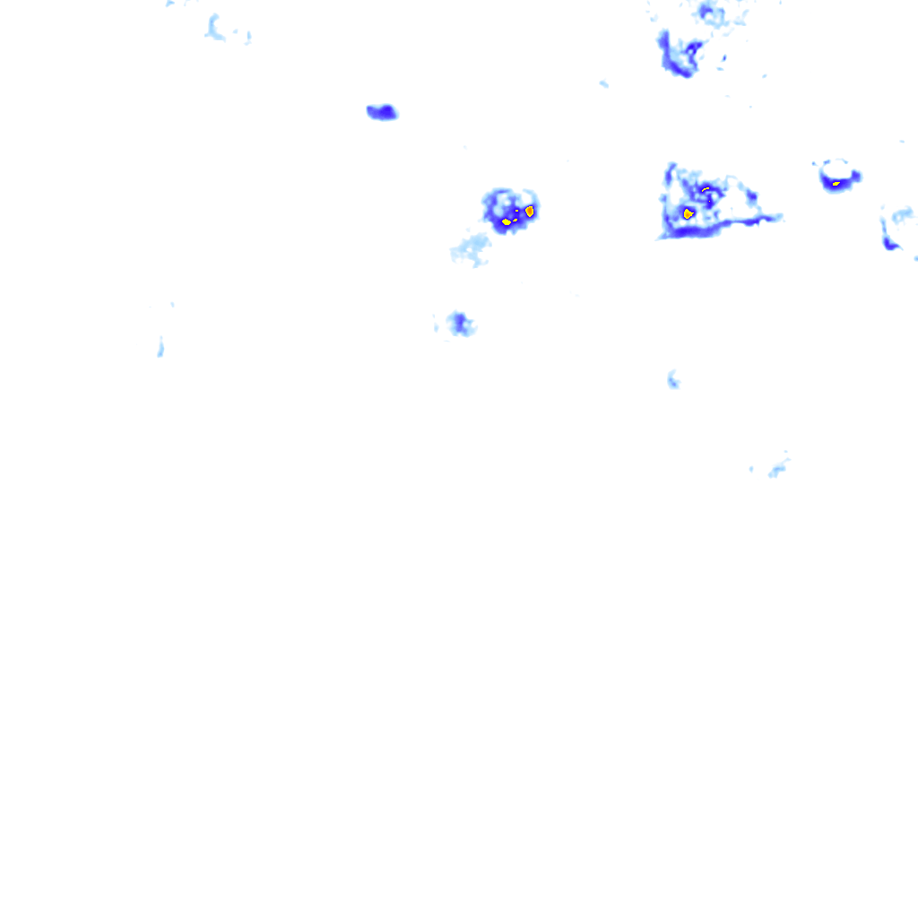 rainLayer