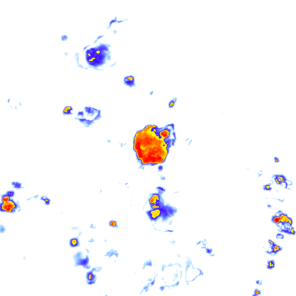Image Layer