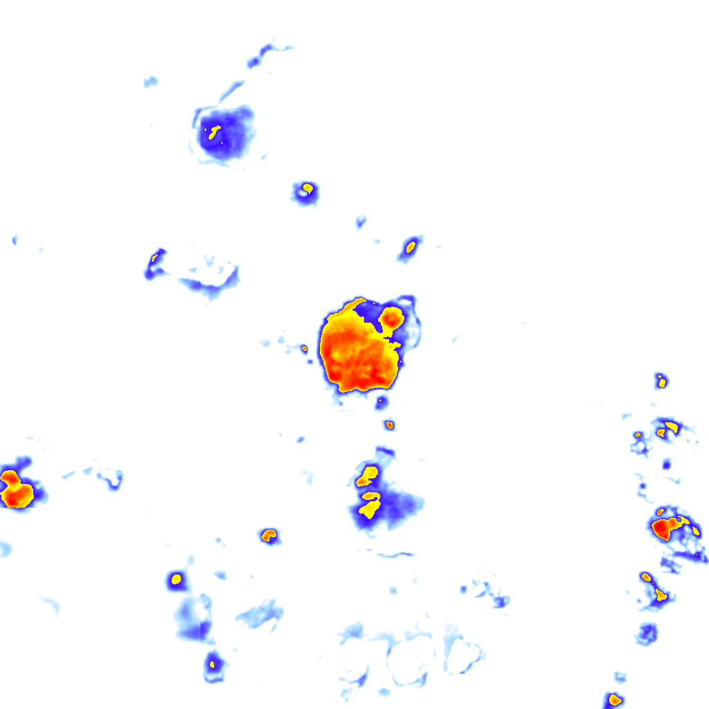 Image Layer