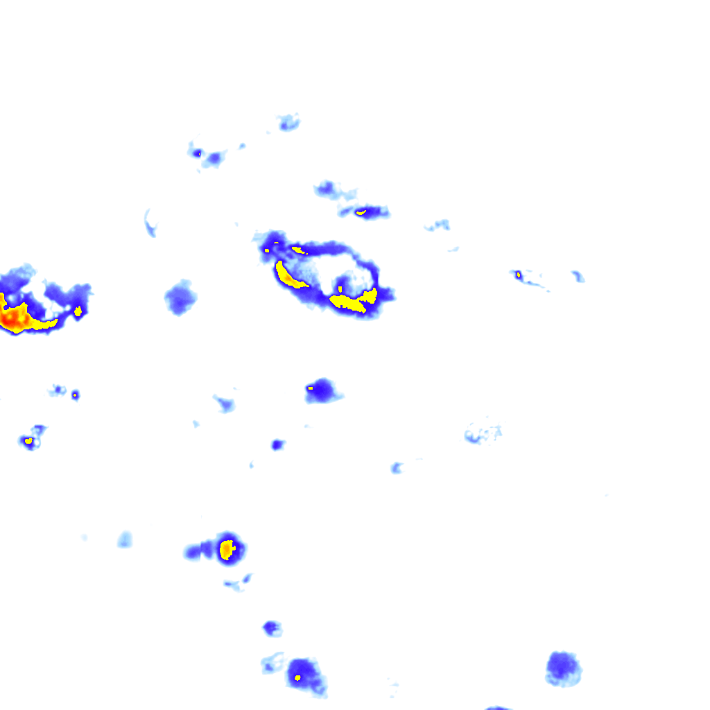 rainLayer