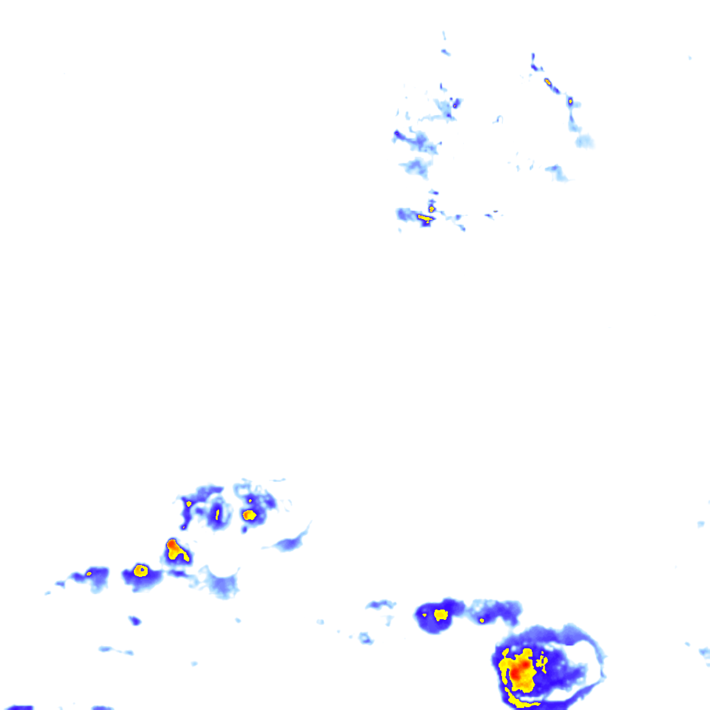 rainLayer