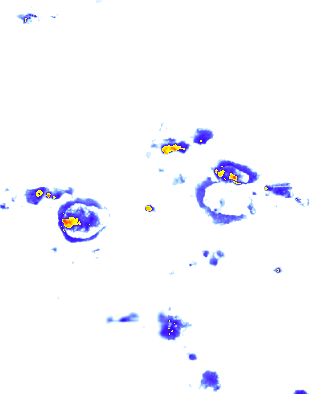 rainLayer