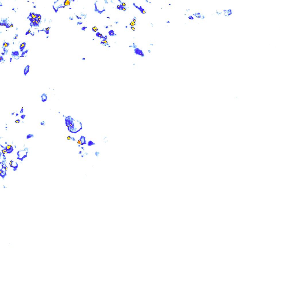 rainLayer