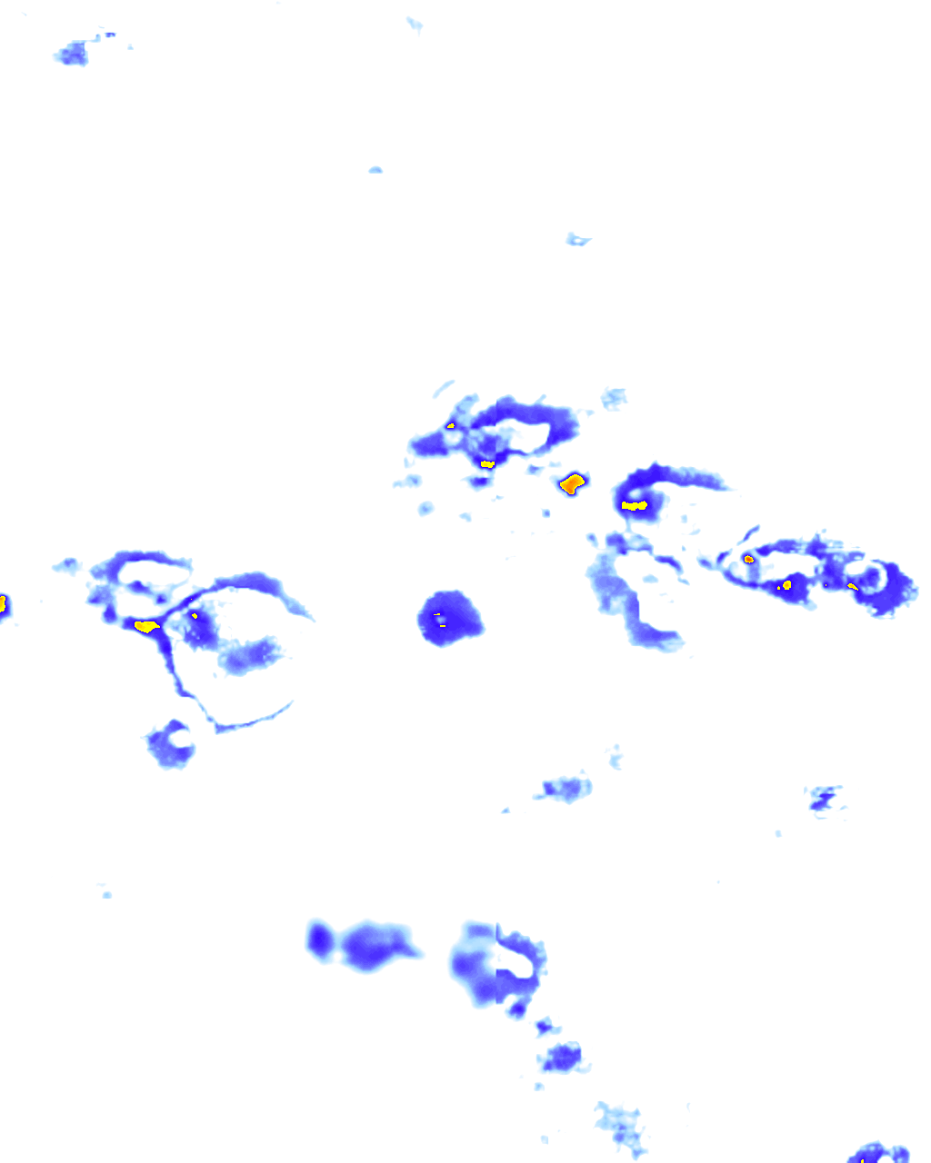 Image Layer