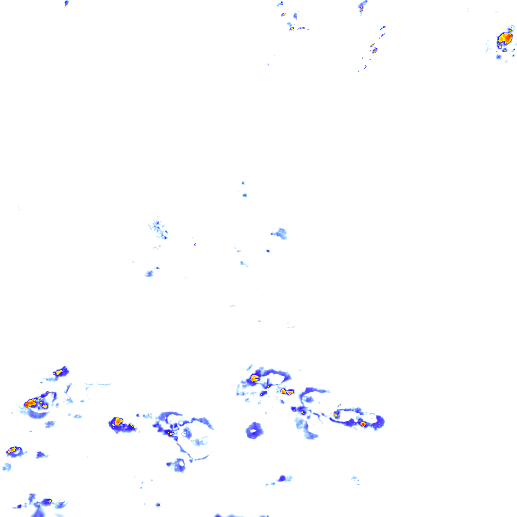 rainLayer