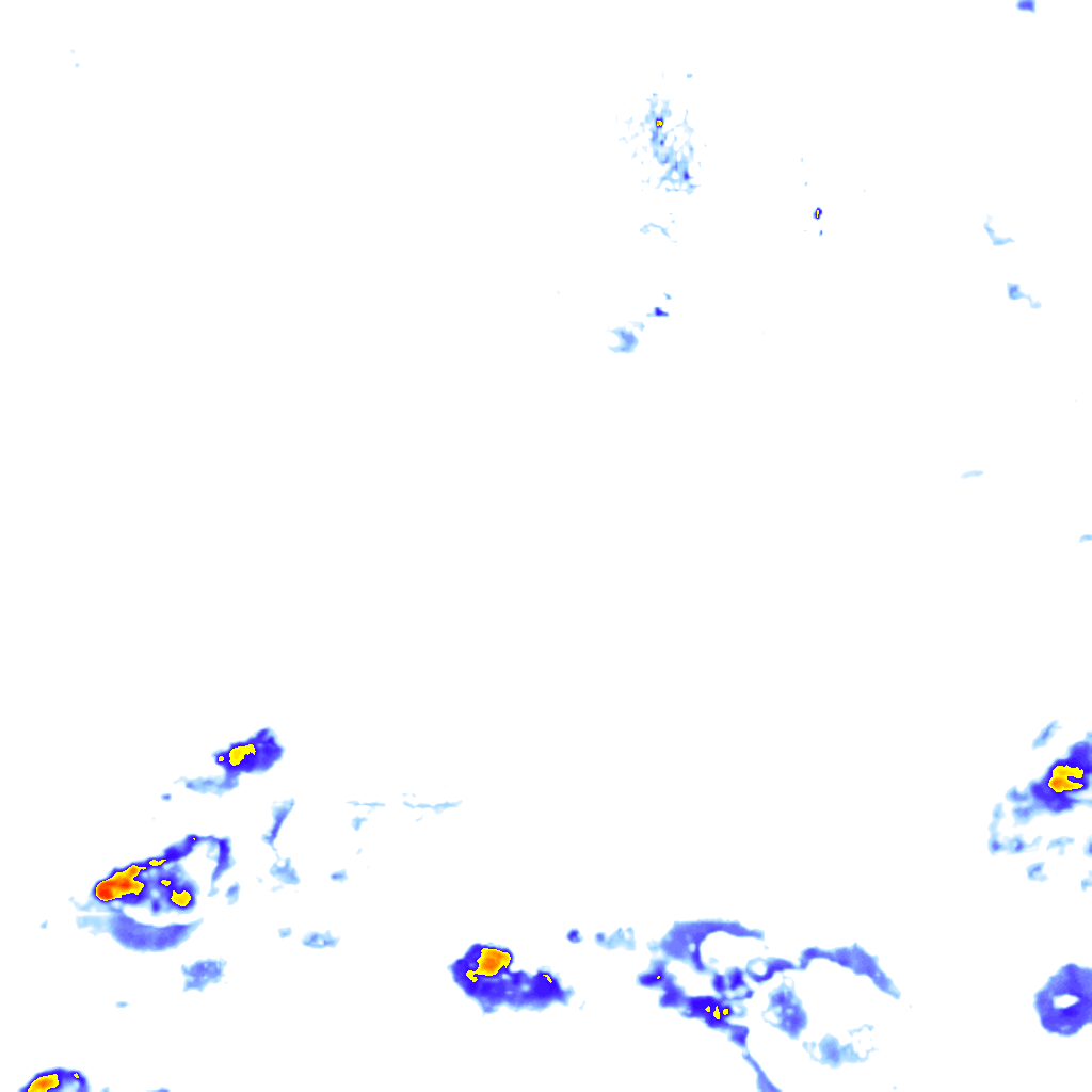 rainLayer