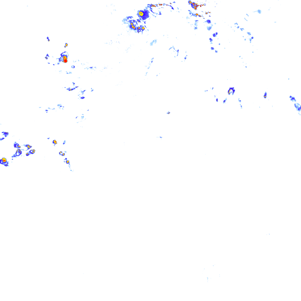 rainLayer