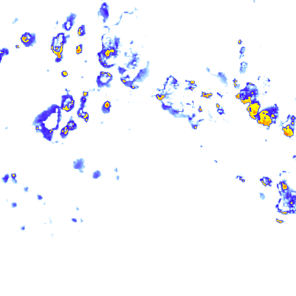 rainLayer