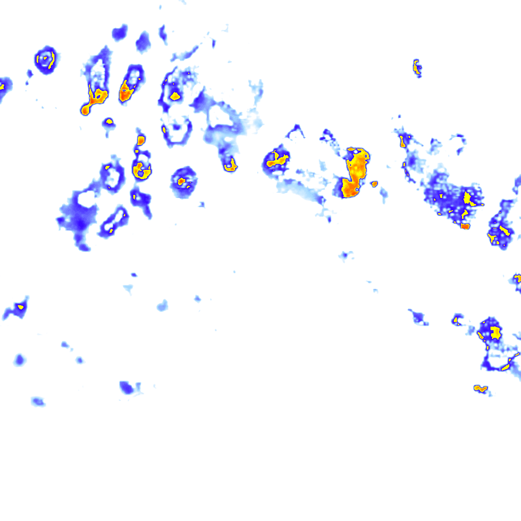 Image Layer