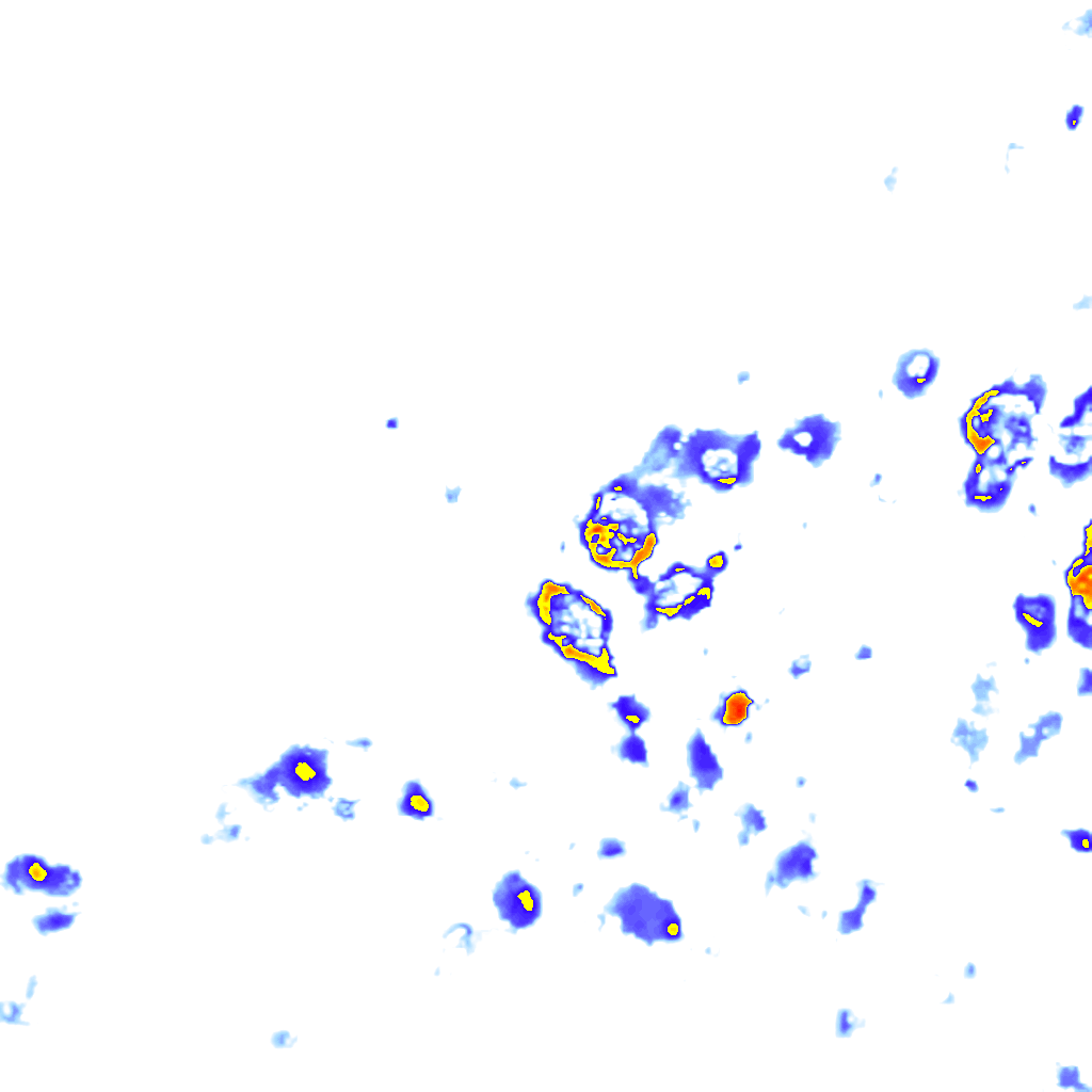 Image Layer