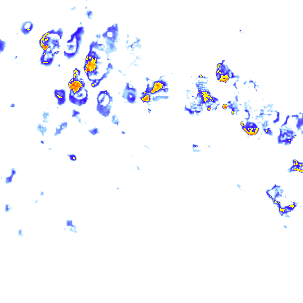 Image Layer