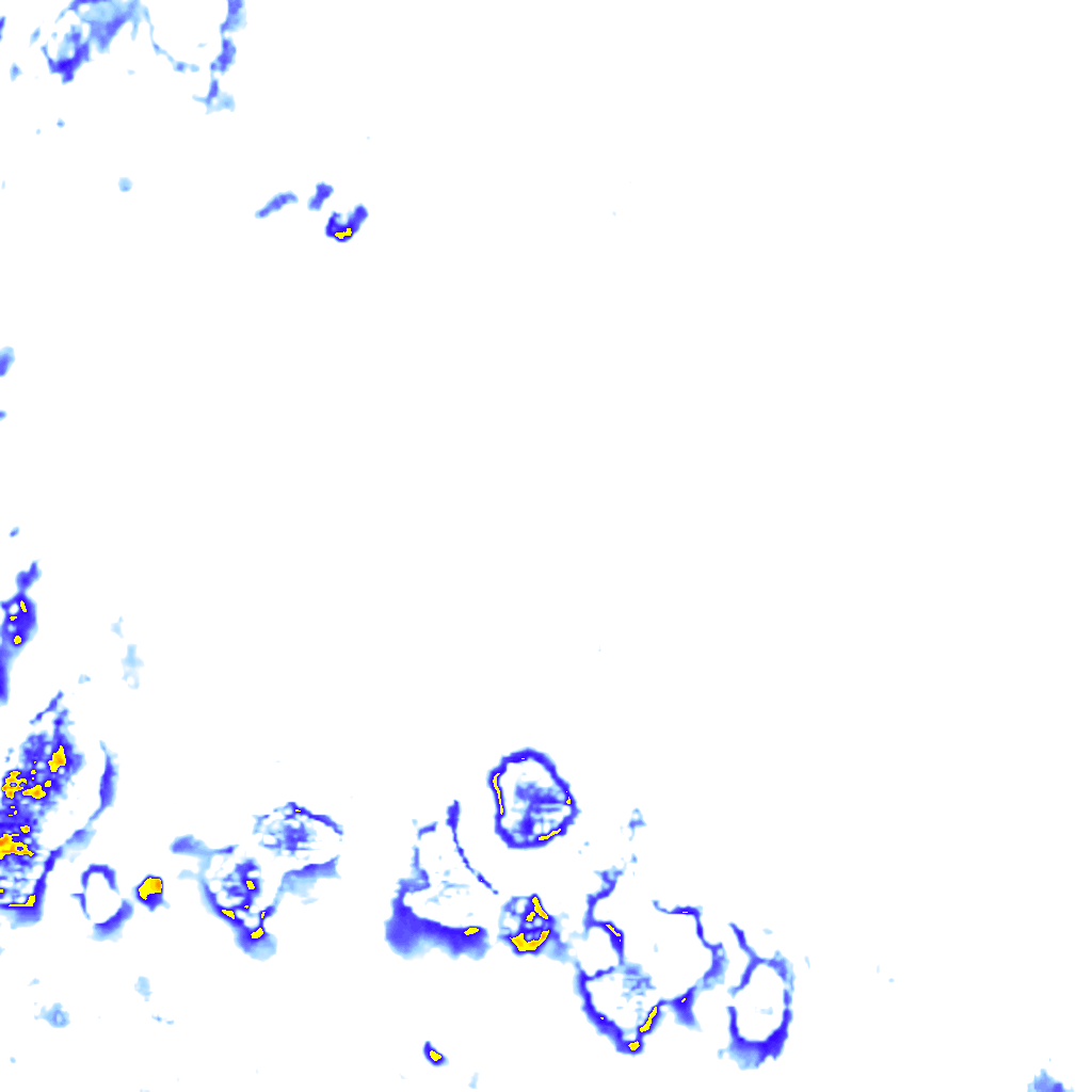 rainLayer