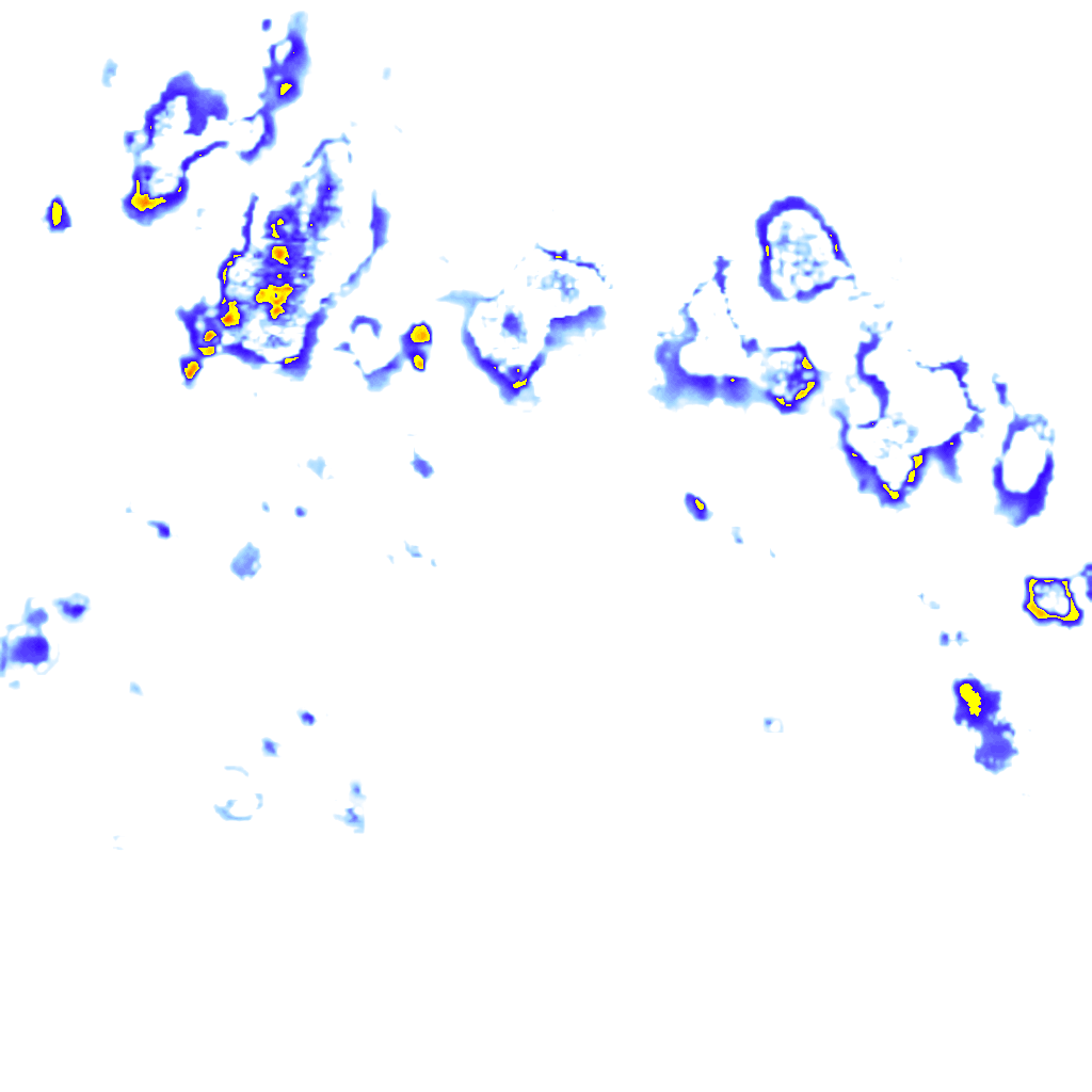 rainLayer