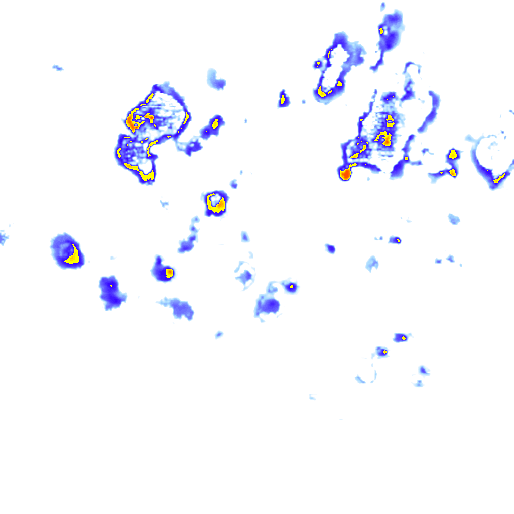 Image Layer